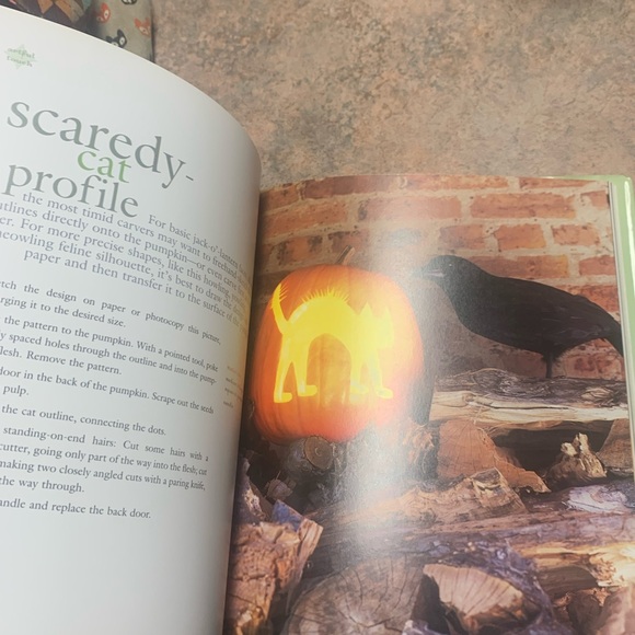 Better Homes & Gardens Halloween Decorating Pumpkins and Gourds Book - Picture 6 of 14